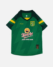 Jersey Kids Pre Season Home 2025 - Green